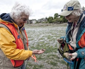 Maradel Gale and Gerlind Jenkner make a find at low-tide in Eagle Harbor