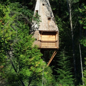 Visit the Islandwood Treehouse