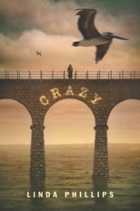 The cover of the softback version of the young adult's book, Crazy