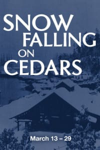 web-preview-snow-falling-on-cedars_large
