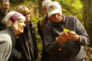 An expert showing nettle to explorers at Islandwood