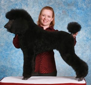 Julie Rust, certified master groomer of the local Fluffy Ruff Dog Spa.