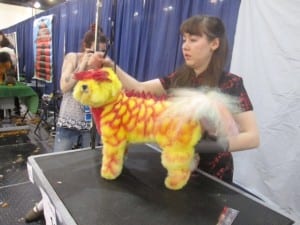 In this podcast, Julie describes a competition that turned this bichon into a red-mohawked dragon.
