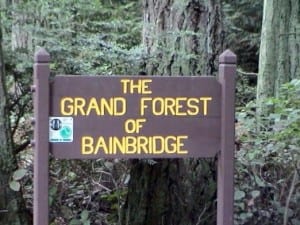 The Grand Forest - one of the signature forested parks of Bainbridge - is maintained by the Parks District