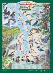 Puget Loop Map