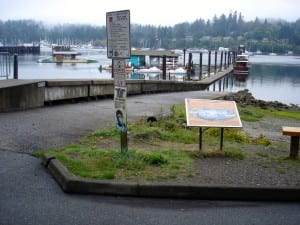 City Dock is at the foot of Waterfront Park, and is next to the launch ramp for trailered boats